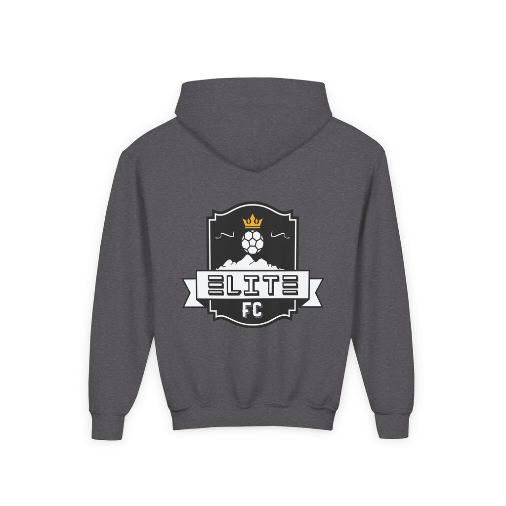 Practice Play Develop Hoodie 2 (Youth)