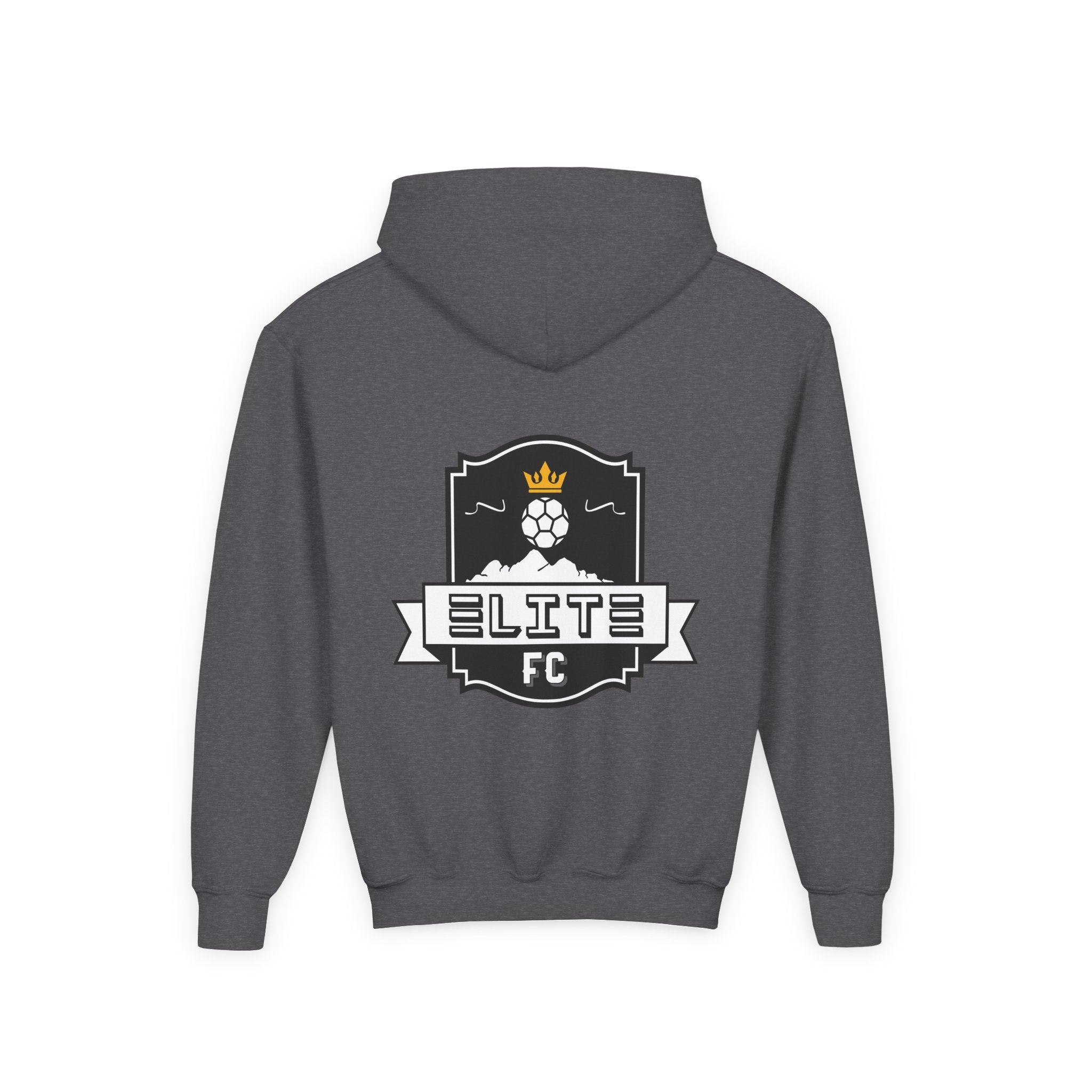 Practice Play Develop Hoodie 2 (Youth)