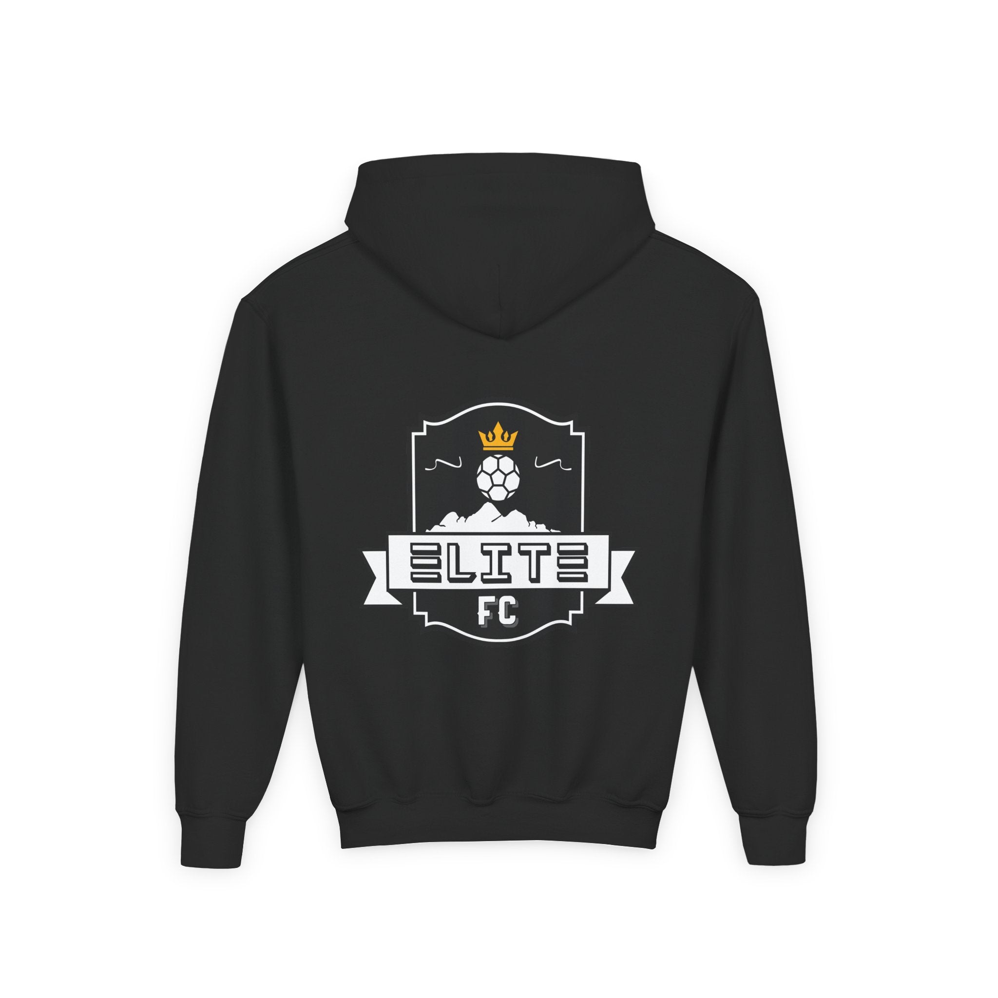 Practice Play Develop Hoodie 2 (Youth)