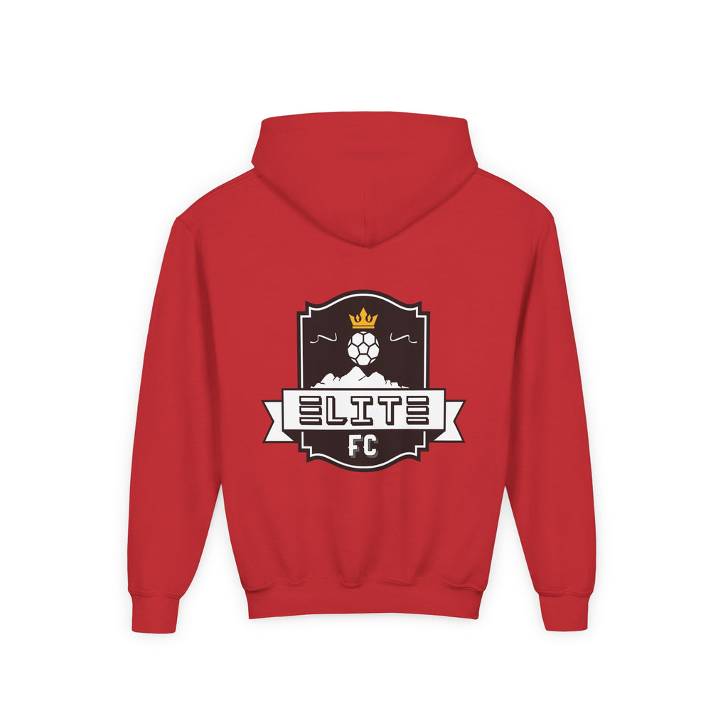Practice Play Develop Hoodie (Youth)