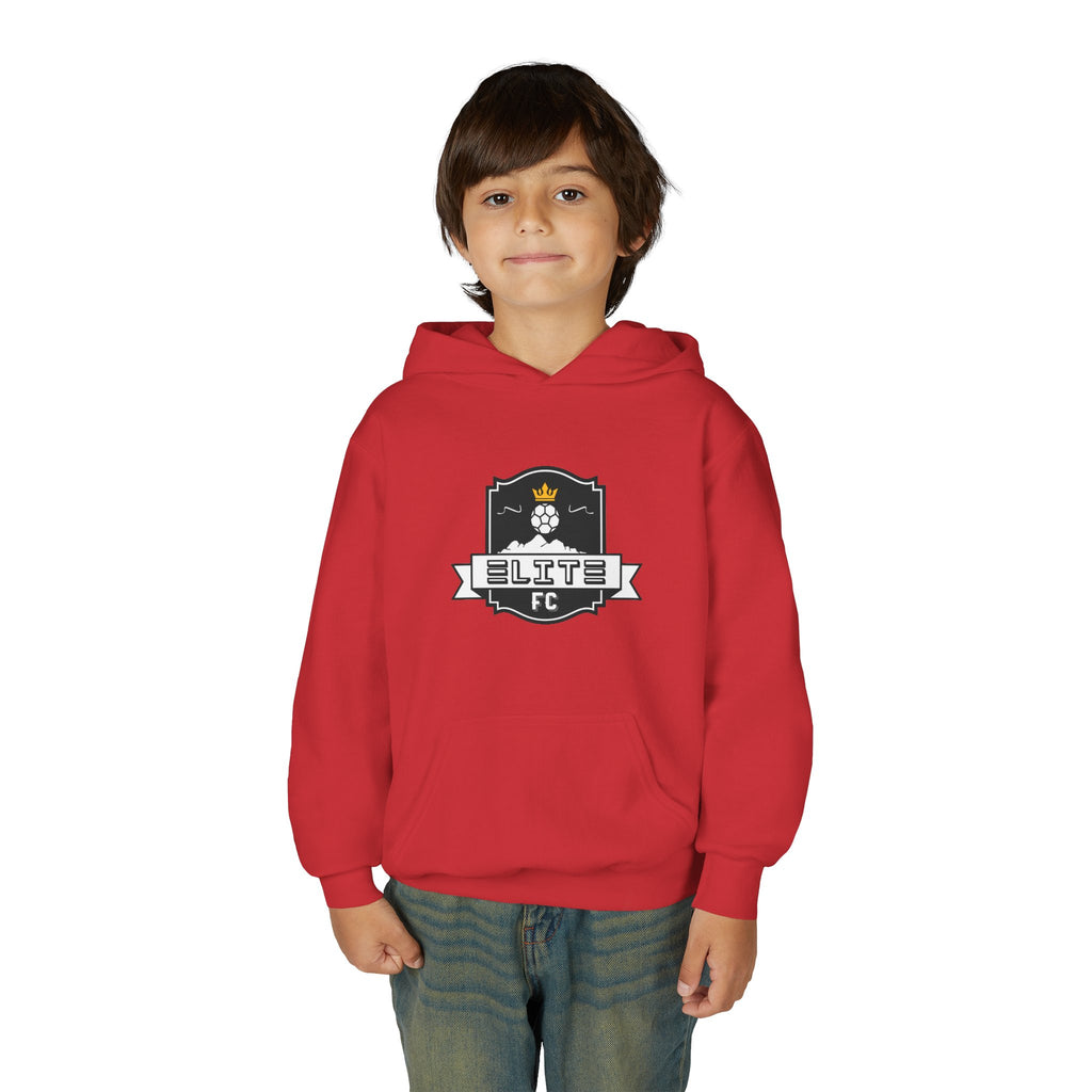 Heavy Blend Hooded Sweatshirt Unisex (Youth)