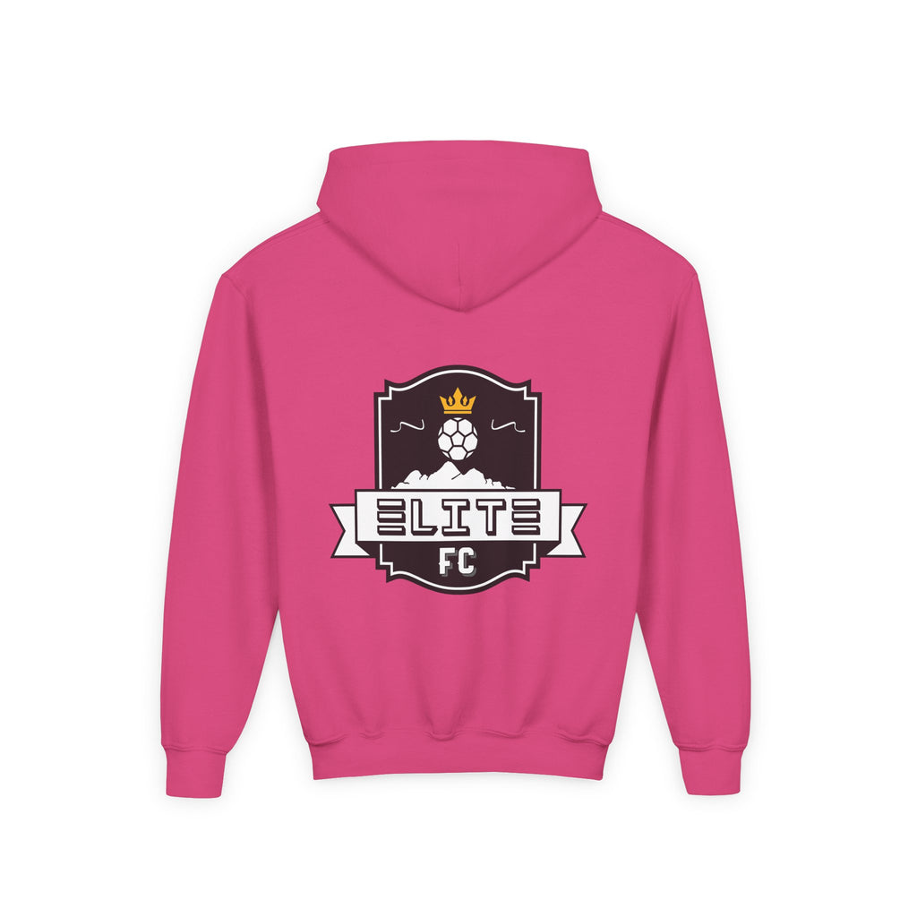 Practice Play Develop Hoodie 2 (Youth)