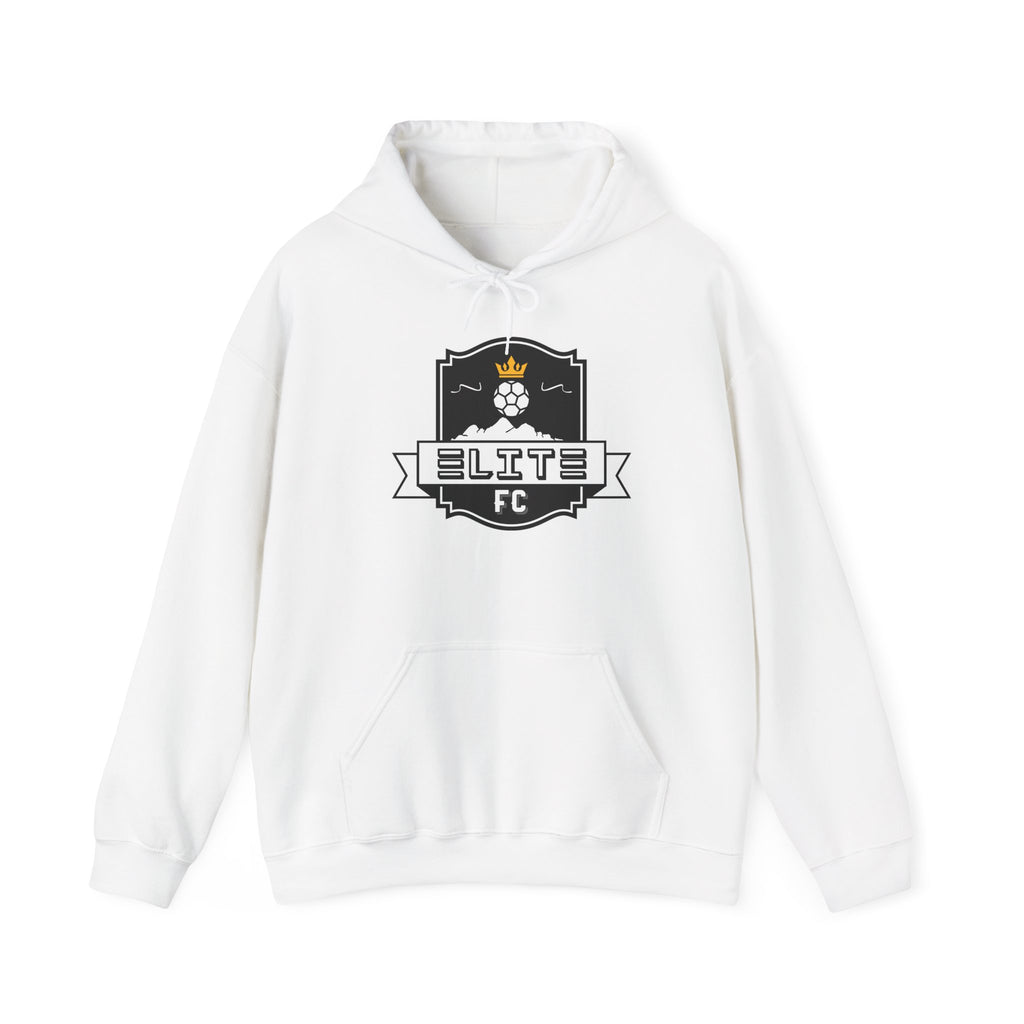 Unisex Heavy Blend™ Hooded Sweatshirt (Adult)