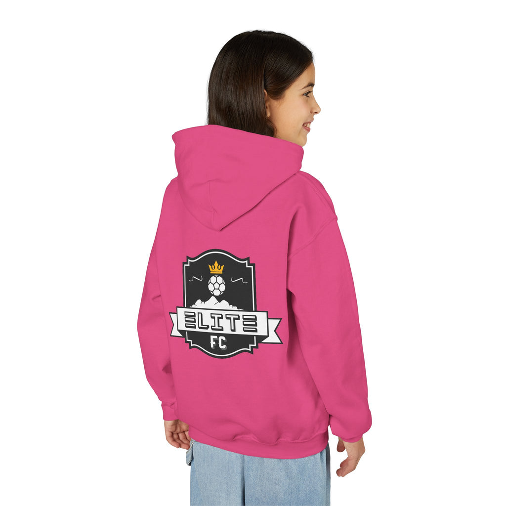 Practice Play Develop Hoodie 2 (Youth)