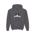 Heavy Blend Hooded Sweatshirt Unisex (Youth)