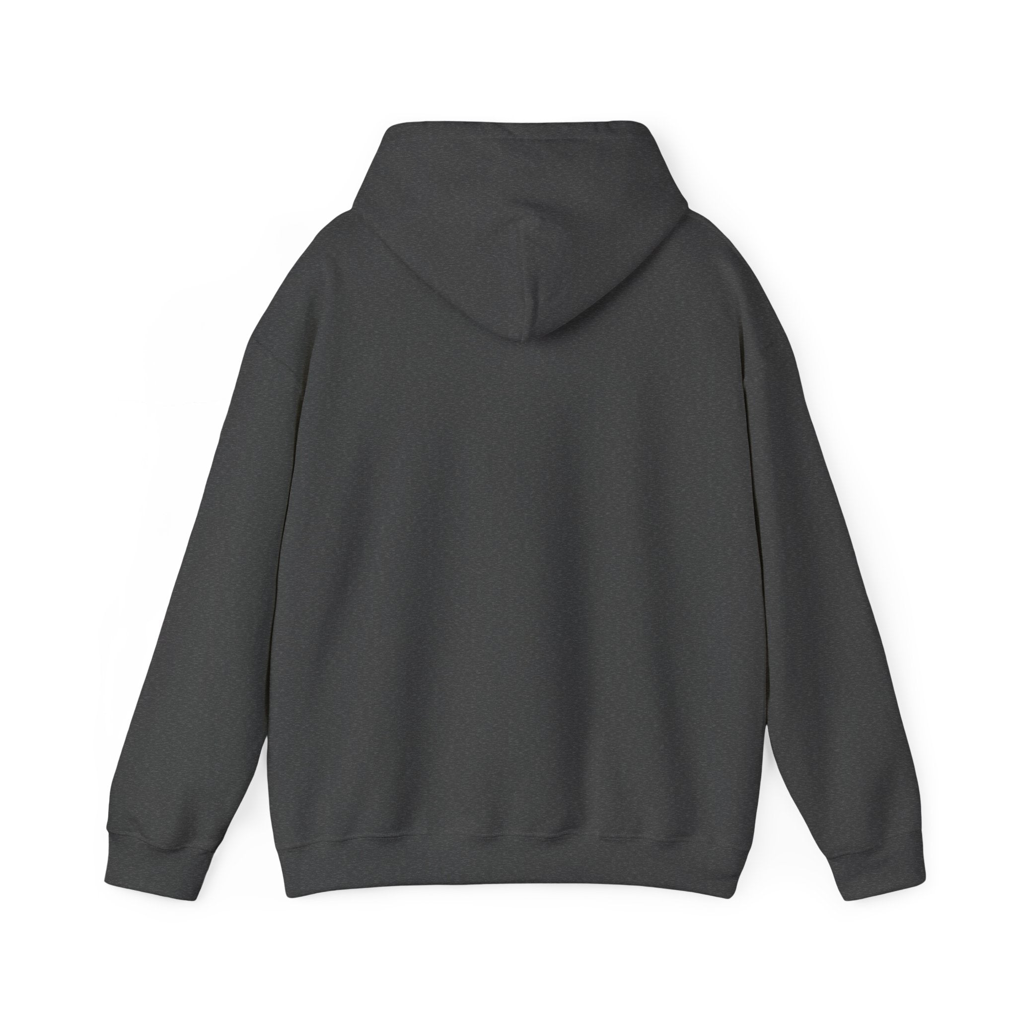 Unisex Heavy Blend™ Hooded Sweatshirt (Adult)